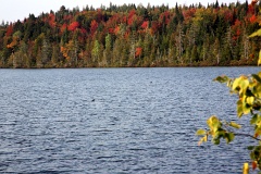 4L4C0087