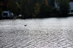 4L4C0093