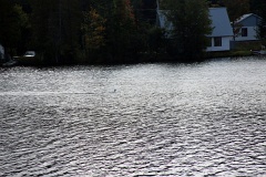4L4C0094