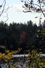 4L4C0175