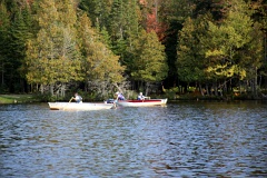 4L4C0259