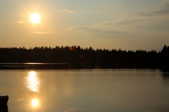4L4C0355