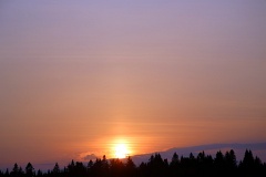 4L4C0380