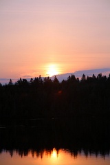 4L4C0381