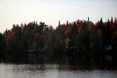 4L4C0364