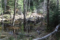 IMG_7671