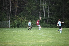 C5D_133361