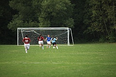 C5D_133549