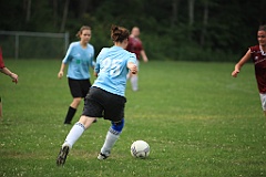 C5D_133569