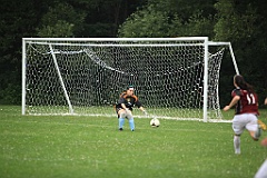 C5D_133639