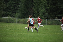 C5D_133894
