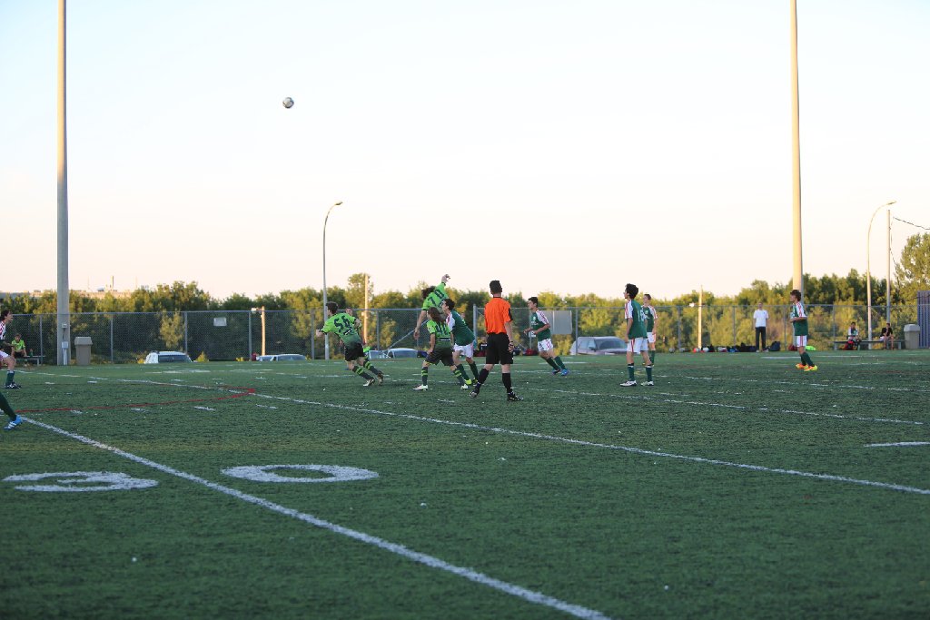 4L4C7167.JPG