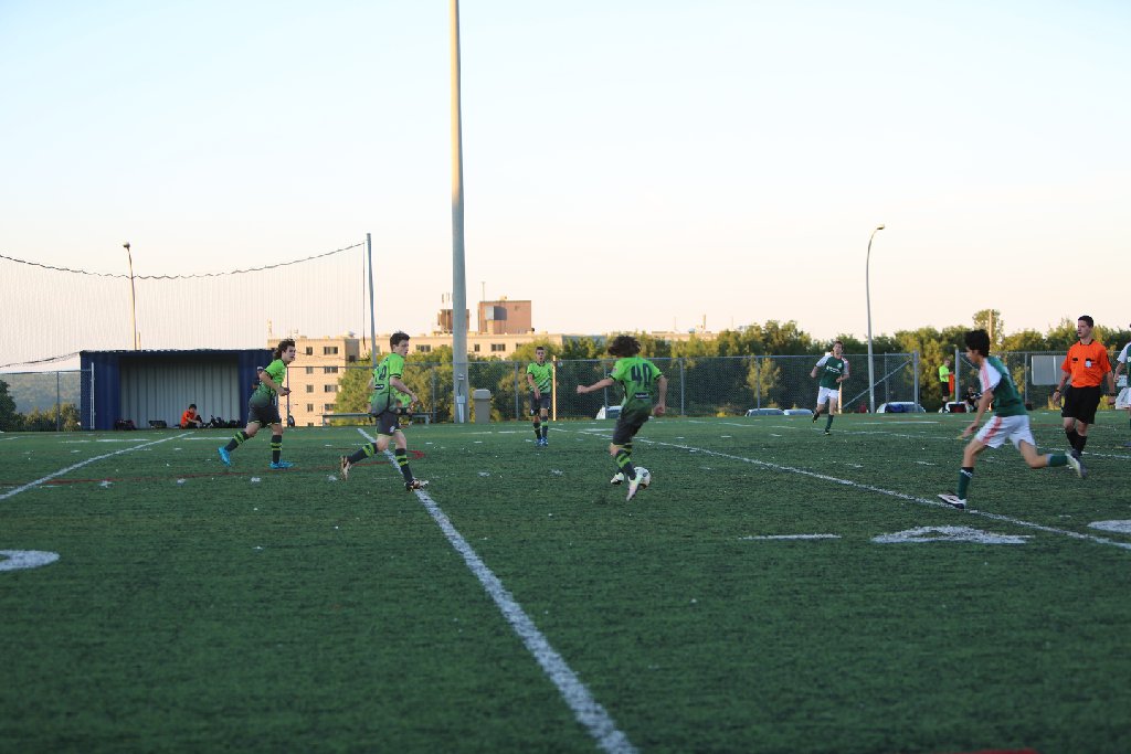 4L4C7189.JPG