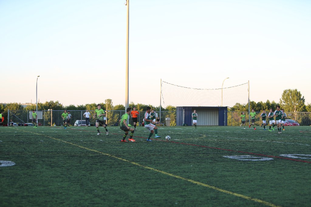 4L4C7199.JPG