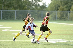 RC_001603
