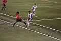 4L4C4546
