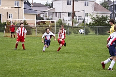 RC_002194
