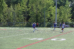 C5D_136384