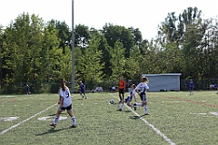 C5D_136768
