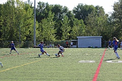 C5D_136937