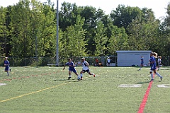 C5D_136938