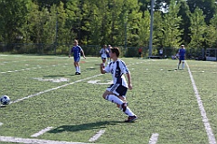 C5D_136986