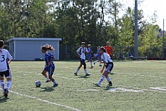 C5D_137037