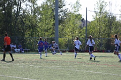 C5D_137050