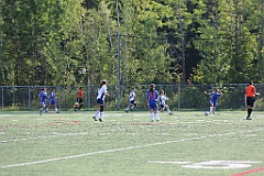 C5D_137180
