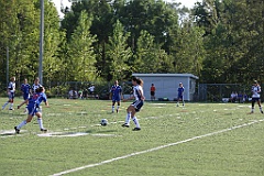 C5D_137238