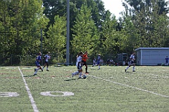 C5D_137312
