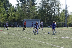C5D_137316