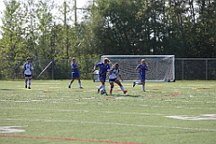 C5D_137325