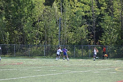 C5D_137329