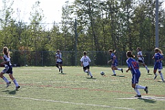 C5D_137351