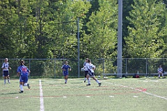 C5D_137362
