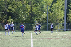 C5D_137363