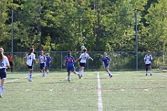 C5D_137364