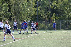 C5D_137367