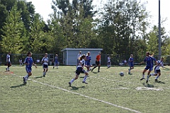 C5D_137382