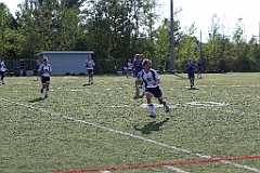 C5D_137384