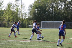 C5D_137390