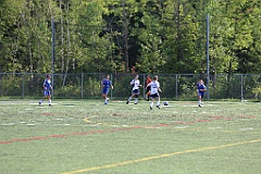 C5D_137548
