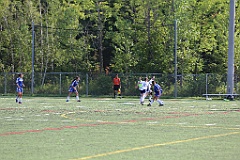 C5D_137552