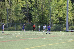C5D_137553