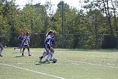 C5D_137619