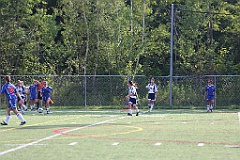 C5D_137673