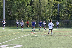 C5D_137676