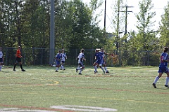 C5D_137691