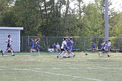 C5D_137744